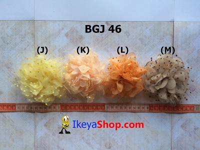 BGJ 46 J M  large2